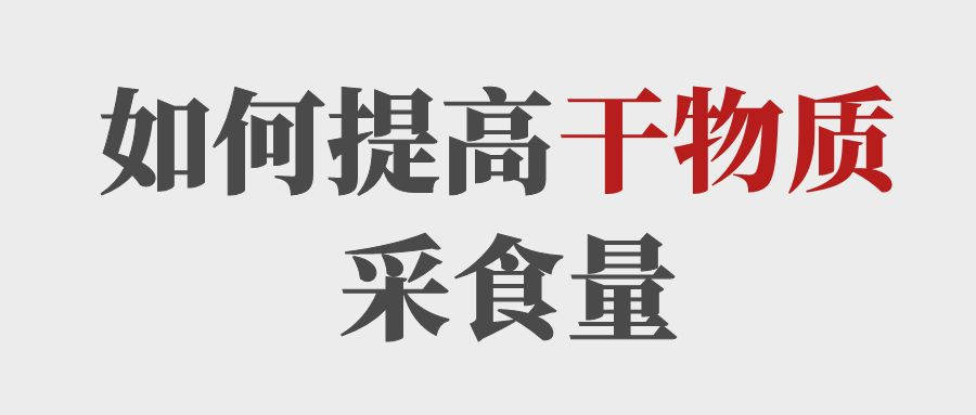 做到這5點提高育肥牛的干物質(zhì)采食量！
